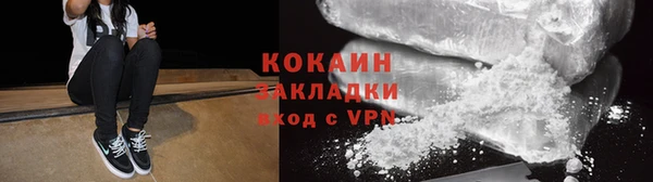 индика Пересвет