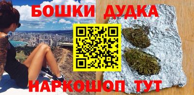 индика Кинель