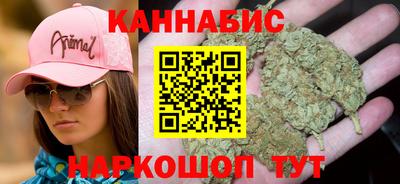 индика Кинель