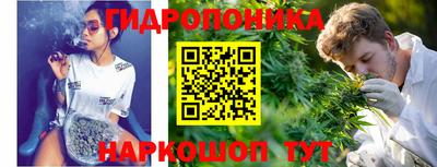ПСИЛОЦИБИНОВЫЕ ГРИБЫ Кимры