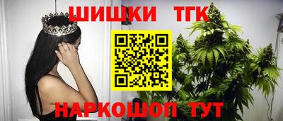 спиды Кингисепп