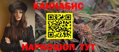 спиды Кингисепп
