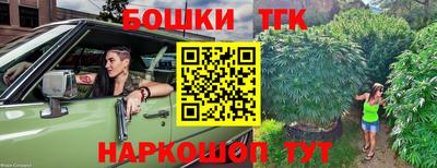 индика Кинель