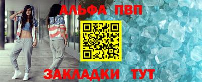 спиды Кингисепп