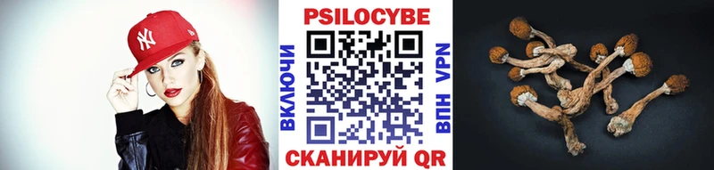 Псилоцибиновые грибы Cubensis  Муром 