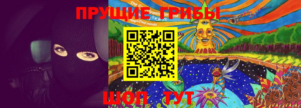 Галлюциногенные грибы MAGIC MUSHROOMS  Вход с VPN  сколько стоит  Муром 